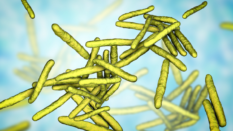 تحذير من مرض "مكتسب محليا" في الولايات المتحدة!