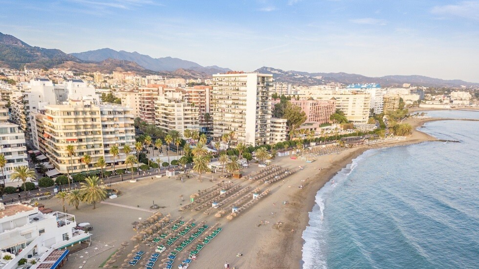 سلوكها أخاف المتواجدين.. خنازير برية "تغزو" شاطئا بإسبانيا بحثا عن الطعام (صور)