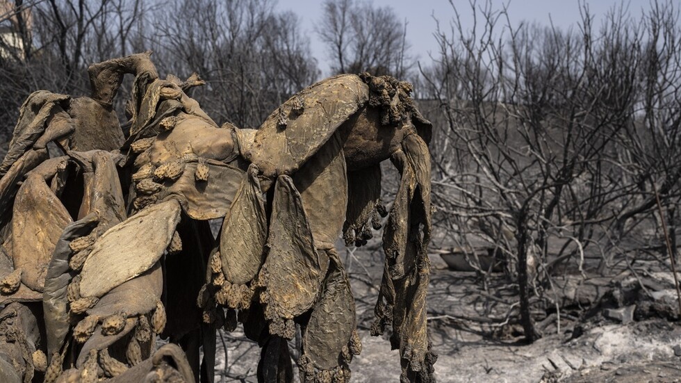 حرائق يوليو الماضي في اليونان كانت الأسوأ منذ 13 عاما