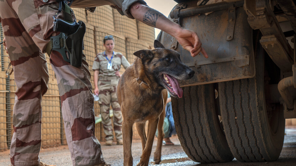 أيها سيقود العملية؟..  بلدان 