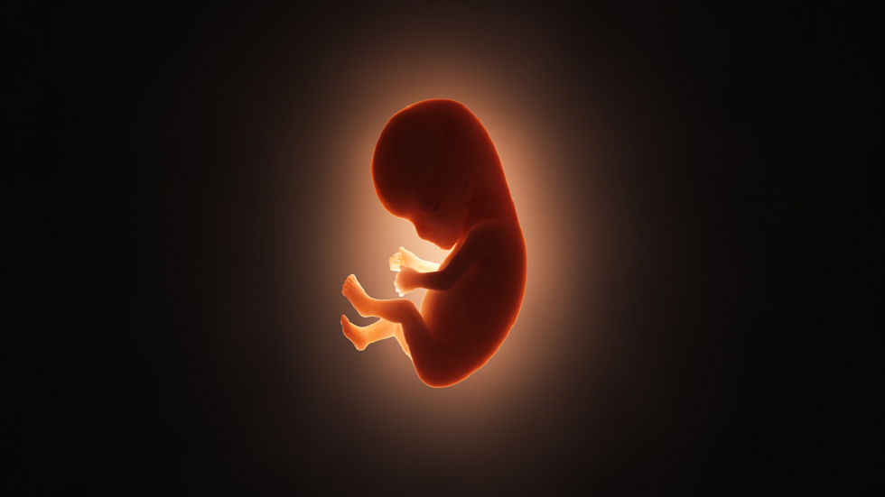 كشف سر "كيس غامض" تحتويه الأجنة البشرية!