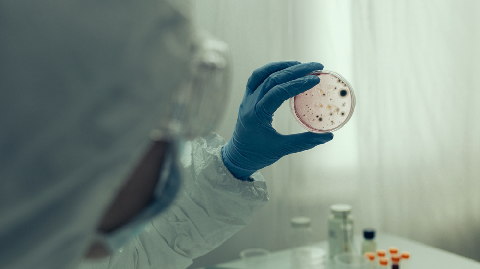 هل يمكن لـ ChatGPT أن ينقذنا من الوباء القادم؟