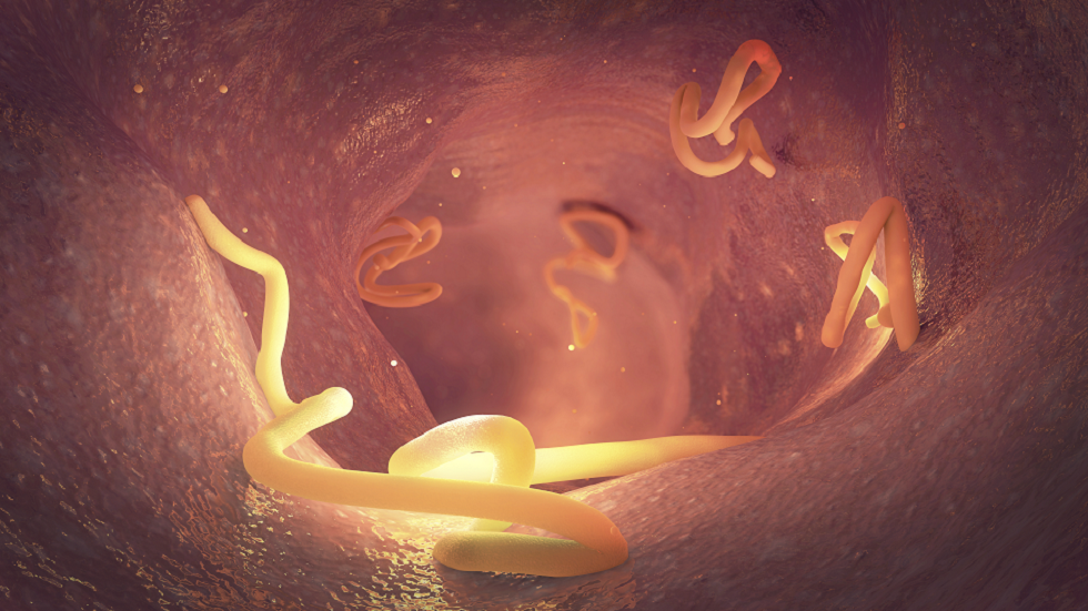 تجربة: التطعيم بالديدان الشصية قد يحمي من السكري النوع 2!