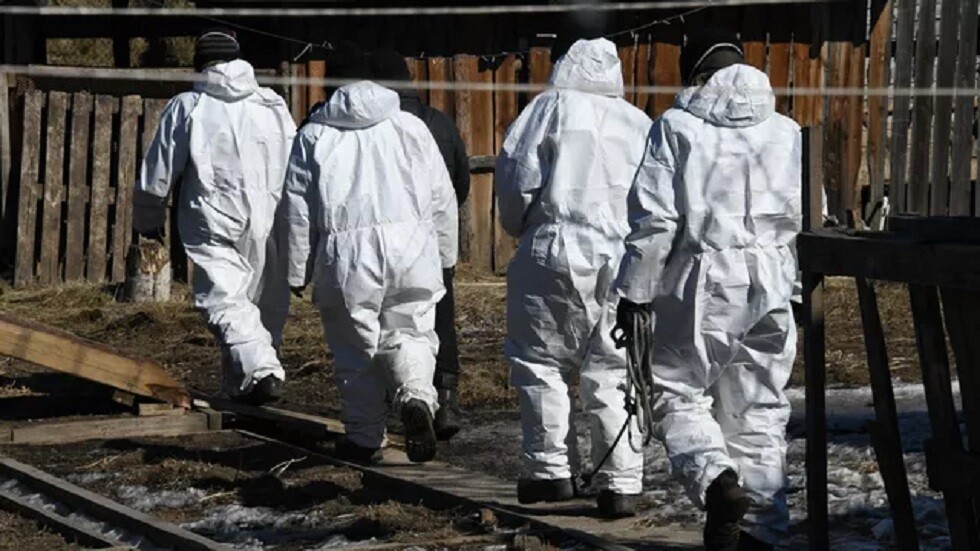 أوكرانيا.. تفشي فيروس "حمى الخنازير الإفريقية" في مقاطعة فينيتسا