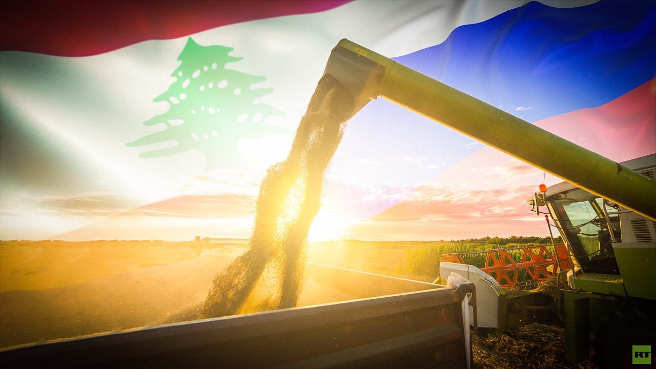 لبنان يتوقع وصول كميات مجانية من القمح والوقود الروسي قريبا