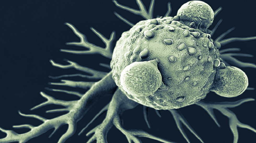 في اختراق كبير.. تحويل الخلايا السرطانية العدوانية إلى خلايا صحية!