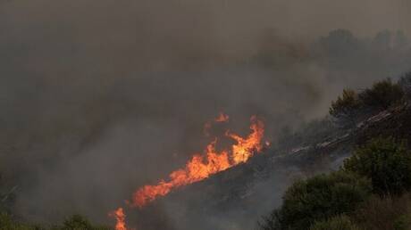 الجزائر: توقيف 5 مشتبه فيهم بإشعال حرائق الغابات