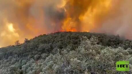 السيطرة عل حريق غابة مغراوة بإقليم تازة المغربي بنسبة 90% والمساحة المتضررة 790 هكتارا (فيديو)