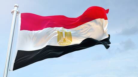 وزير مصري سابق: روسيا تدعم رغبة مصر بالانضمام إلى 