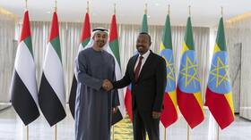 خلال زيارته إلى إثيوبيا.. الرئيس الإماراتي يعلق على مفاوضات 