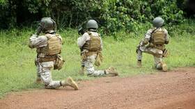 مقتل 12 جنديا في جنوب غرب النيجر