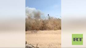 مصر.. حريق هائل في غابة بمدينة طور سيناء (فيديو)