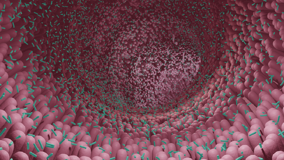 دراسة: جائحة 