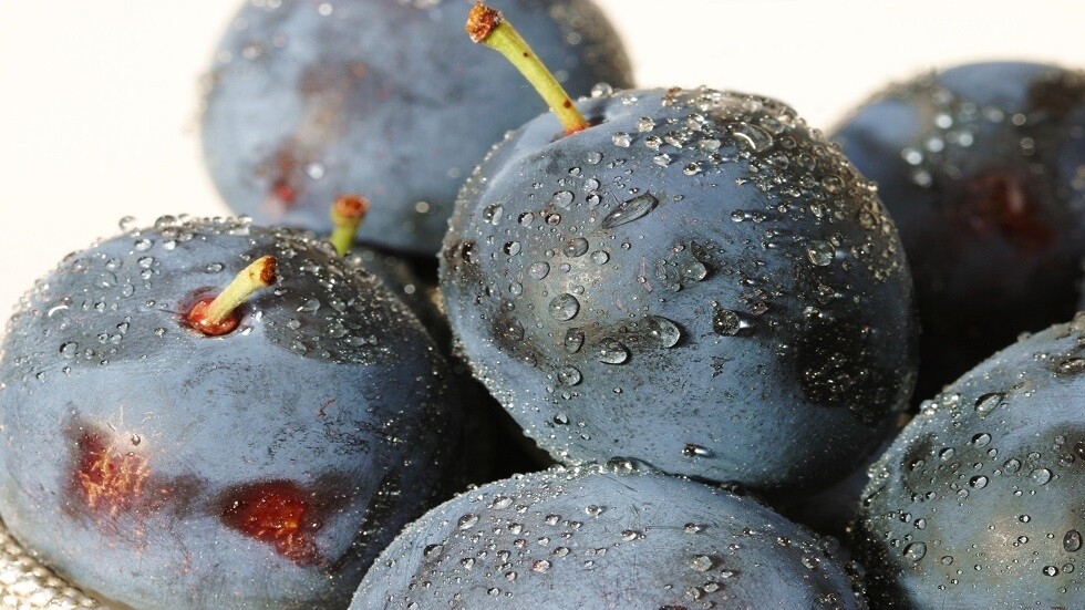 كشف فوائد البرقوق "الخوخ" للصحة