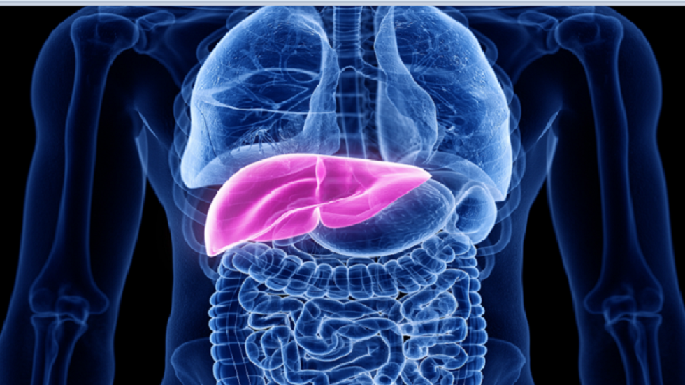 علماء: النشا المقاوم فعال ضد أمراض الكبد