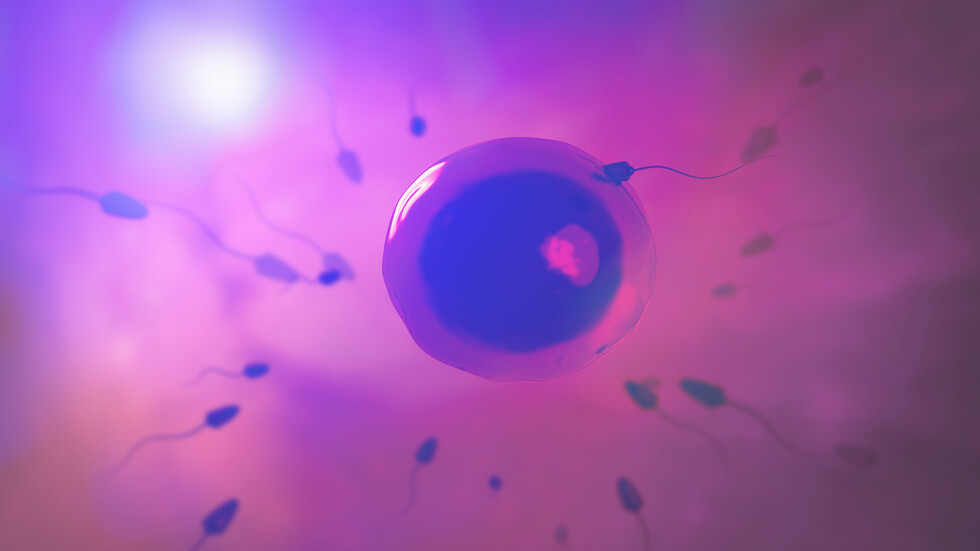 تطوير أداة ذكاء اصطناعي تساعد الرجال العقيمين على الإنجاب