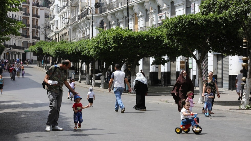 الجزائر.. هجوم لاذع على سعيدة نغزة بعد رسالتها للرئيس تبون: هوس مرضي لقوى الأموال القذرة