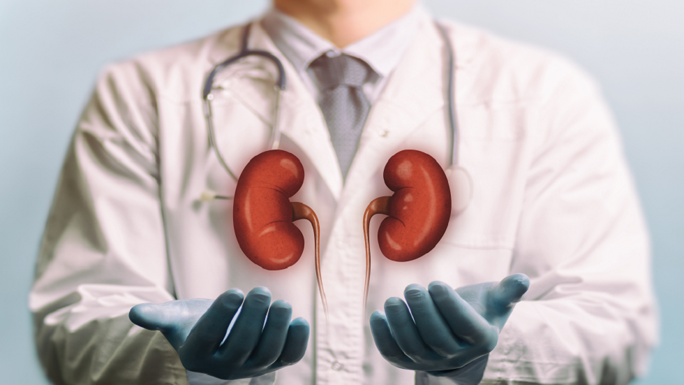 اكتشاف جديد ومبتكر يمكن أن يمنع رفض الأعضاء المزروعة في الجسم!