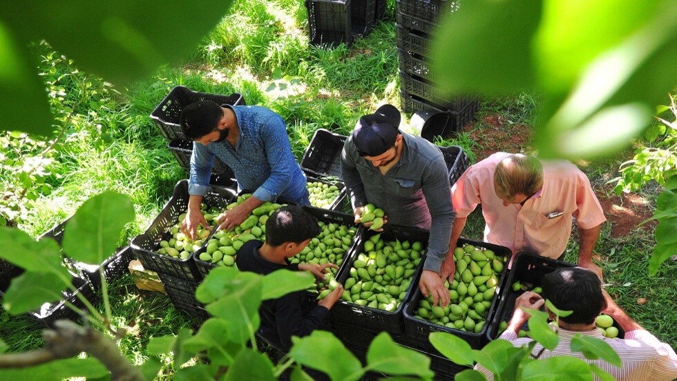 سفير سوريا: الرفع الفوري للتدابير القسرية على الشعب السوري كفيل بمعالجة آثارها الكارثية