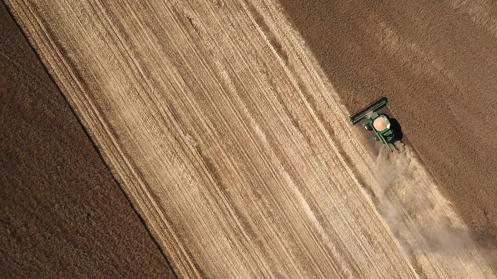 الولايات المتحدة تزيد حجم وارداتها من الحبوب الأوكرانية بنسبة 800%