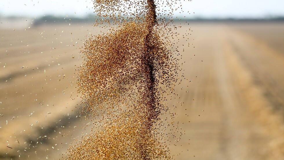 موسكو تعلن نيتها إرسال دفعة مجانية من دقيق القمح إلى جمهورية إفريقيا الوسطى كمساعدات إنسانية