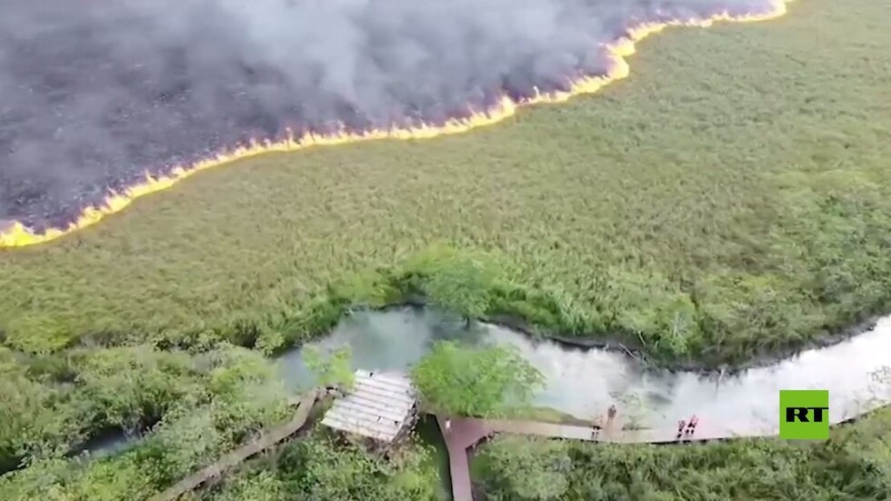 بالفيديو.. حرائق الغابات تحيط بإحدى أكثر المدن جذبا للسياح في البرازيل