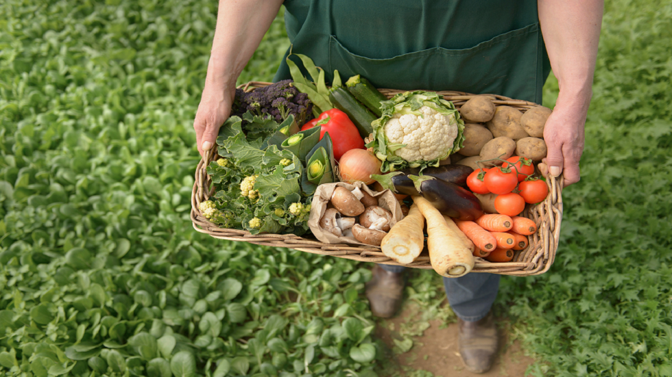 باحث في هارفارد يتحدث عن "خدعة شراء الأطعمة العضوية"!