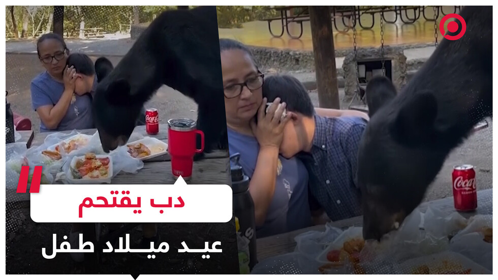 لحظات مرعبة لأم وطفلها اقتحم دب مائدتهما
