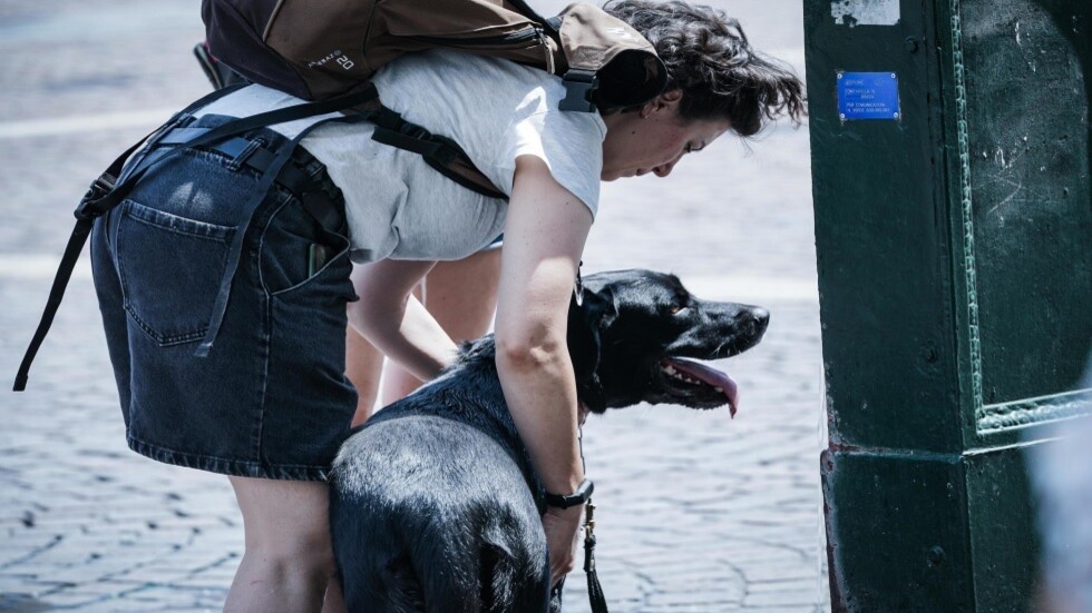 تشبه "الانقراض".. تقرير حكومي يكشف كارثة ديمغرافية تصيب إيطاليا على مدى عقود