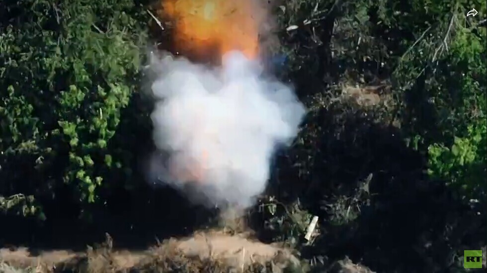 بالفيديو.. وحدة 