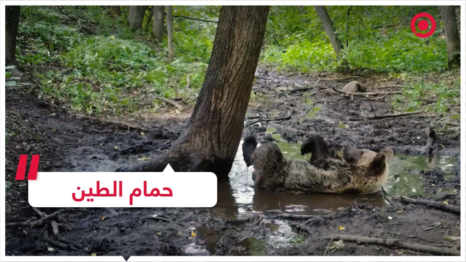 حمام من الطين