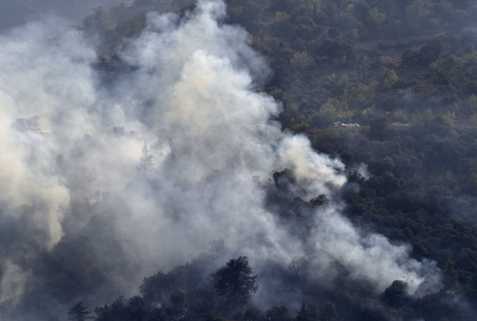 الجزائر.. توقيف الشخص المتسبب في الحرائق بغابات ولاية بجاية
