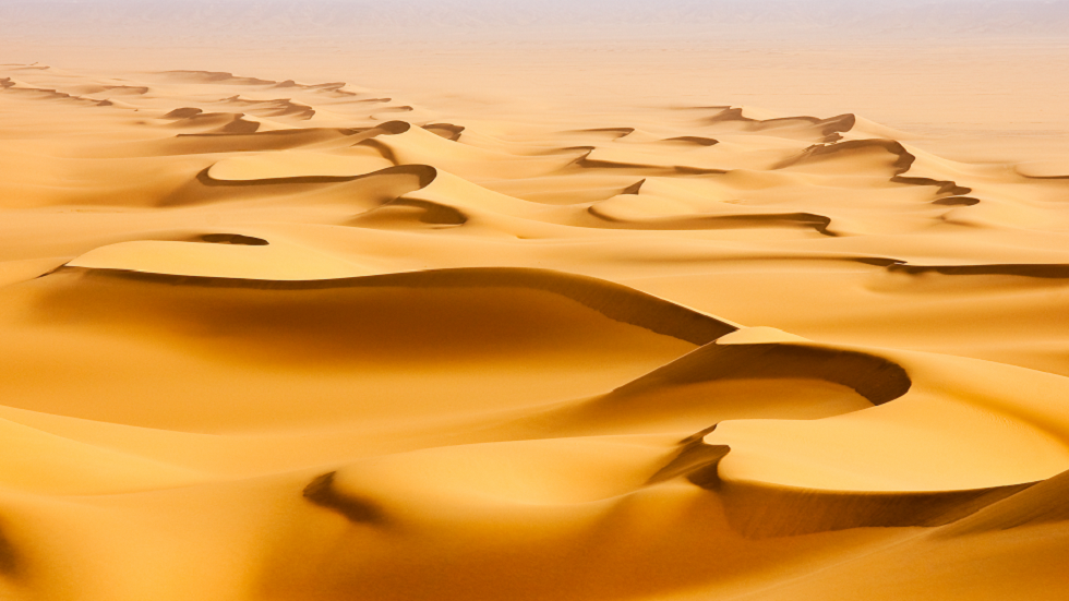 دراسة تكشف لماذا ومتى تحولت الصحراء الكبرى إلى اللون الأخضر!
