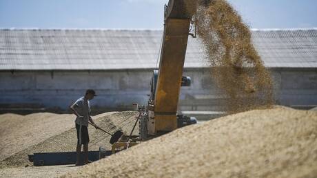 سلوفاكيا تمدد حظر استيراد الحبوب الأوكرانية