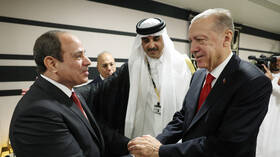 محلل سياسي مصري يعلق على تصريحات أردوغان أمام الأمم المتحدة بخصوص العلاقة مع القاهرة