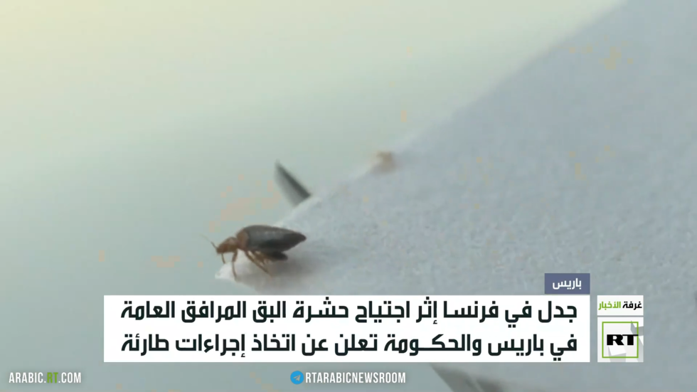 بق الفراش يثير جدلا في فرنسا