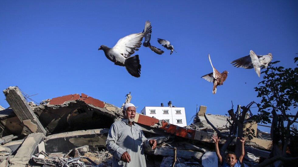 مجلس النواب الليبي: للشعب الفلسطيني كامل الحق في الدفاع عن حقوقه المشروعة