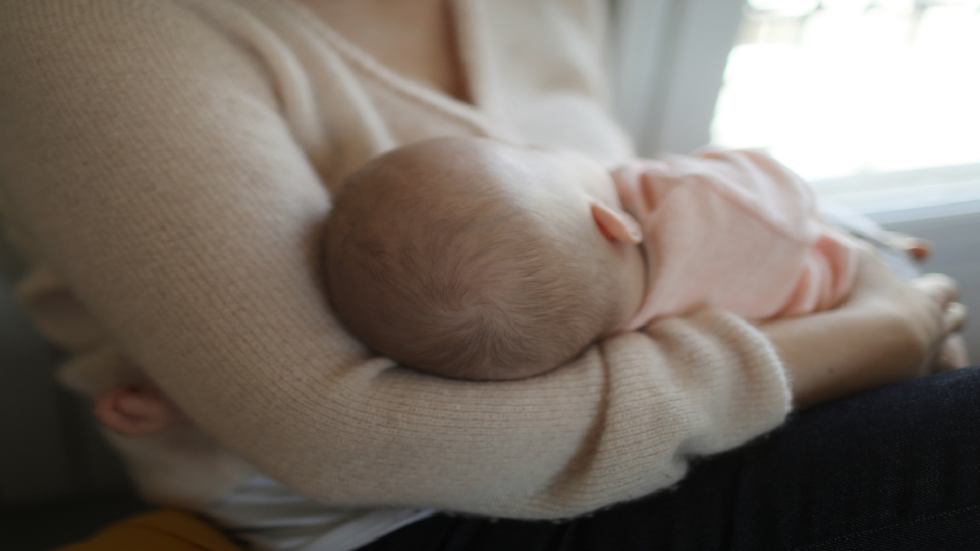 علماء هارفارد يزعمون اكتشاف 