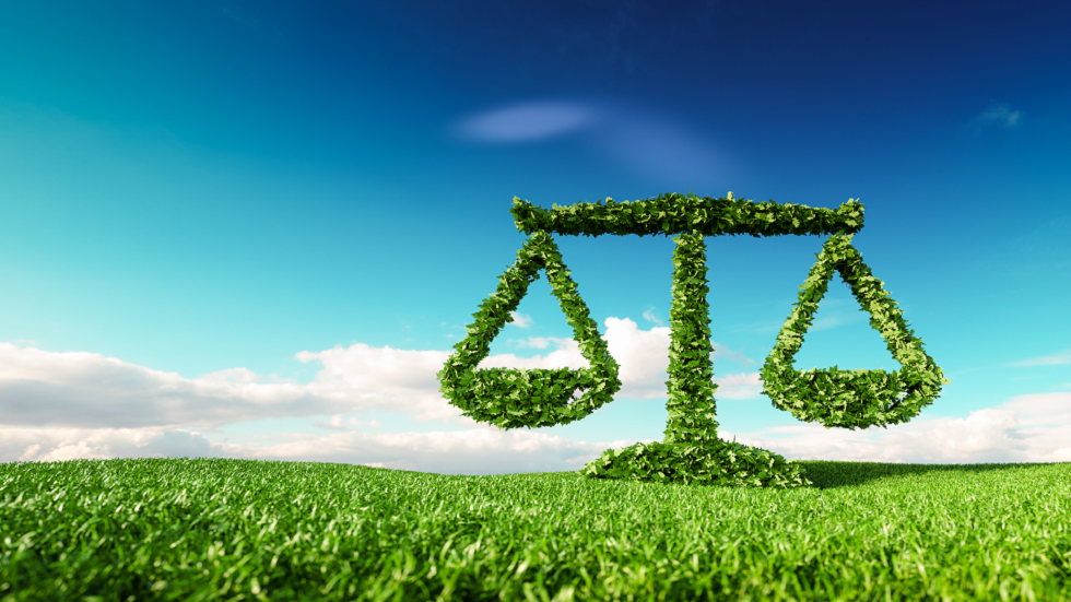 "قانون الطبيعة" المفقود