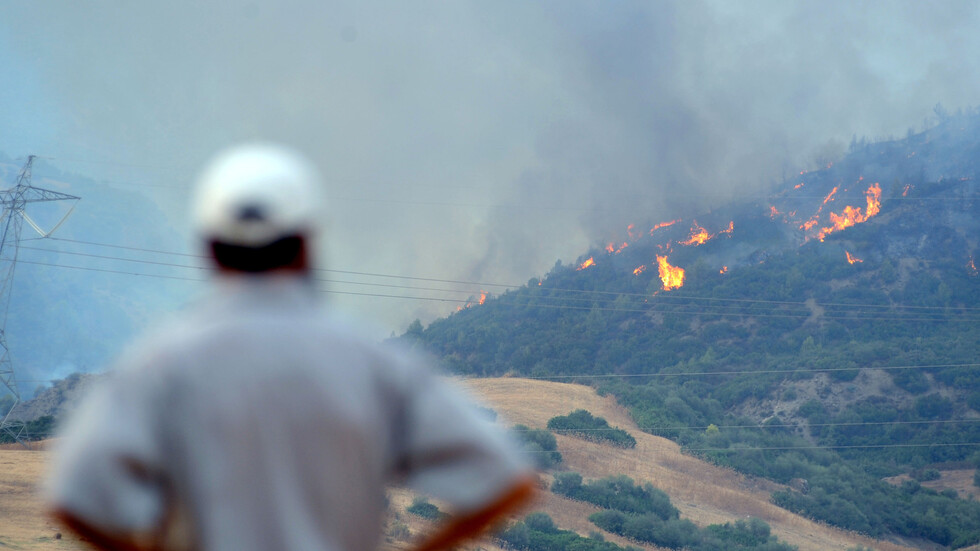 الجزائر تحكم بالإعدام على 38 متهما في قضية المغدور به حرقا جمال بن إسماعيل