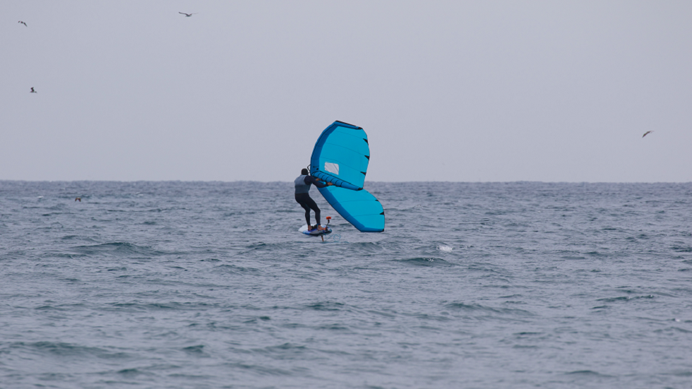 لقطات تصوّر لحظة اصطدام راكب أمواج بحوت في سيدني!
