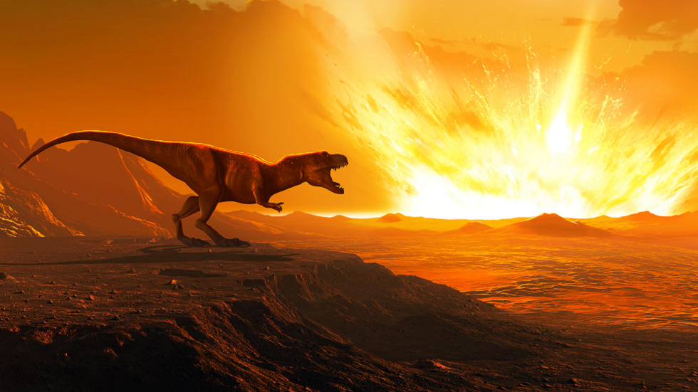 العلماء يكتشفون 