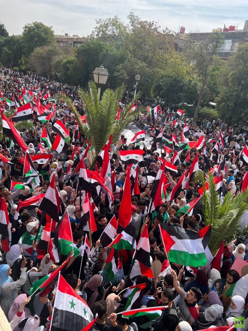 جامعات سوريا تنظم وقفات تضامنية مع فلسطين (فيديو)