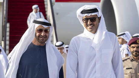 فيديو لضحكة أمير قطر بعد همسة بأذنه من رئيس الإمارات تثير تفاعلا (فيديو)