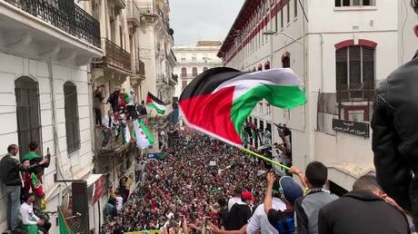 مظاهرات جزائرية احتجاجا على القصف الإسرائيلي الهمجي المستمر لقطاع غزة (فيديوهات)