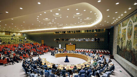 الإمارات تطلب اجتماع مجلس الأمن الدولي بشأن غزة 