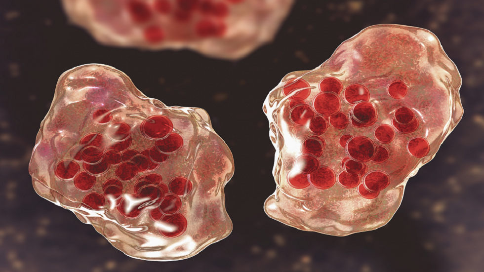 العلماء يحذرون من 