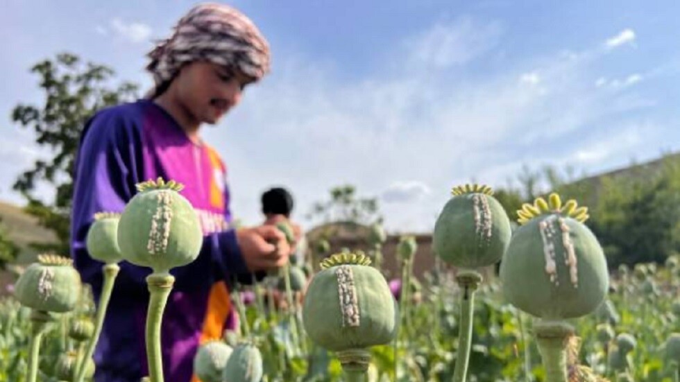 مدفيديف: "طالبان" حققت في عام ما عجز عنه "الناتو" طيلة 20 عاما