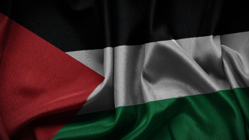 "فلسطين حرة دائما".. فنانة نرويجية ترفع العلم الفلسطيني في حفلها وتدعو إلى "الوقف الفوري للقصف"