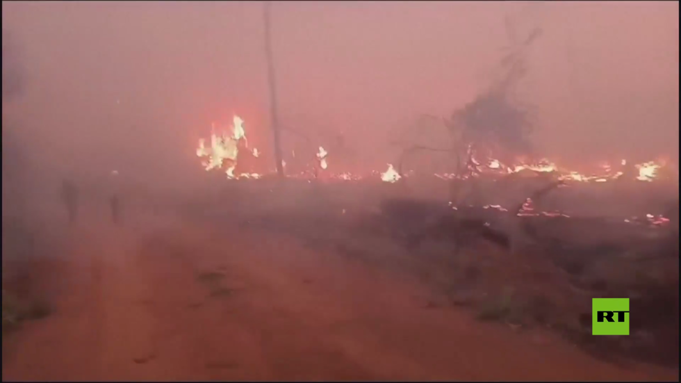 بالفيديو.. حرائق تدمر منطقة الأمازون في بوليفيا